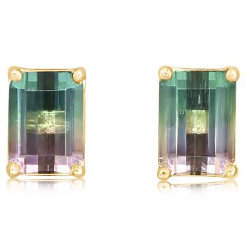 14K Yellow Gold Bi-Color Tourmaline Earrings